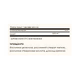 Inositol 500 mg - 100 vcaps, фото 3