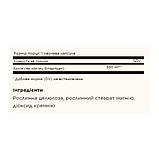Choline 350 mg - 100 vcaps, фото 3