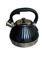 Металевий чайник Edenberg EB-8857 зі свистком 3 л Чорний