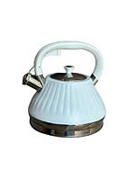Металевий чайник Edenberg EB-8857 зі свистком 3 л Білий