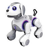 Робот песик на радіокеруванні озвуч. англійською, пісні, історії, географічні факти, рухається, виконує команди, фото 3