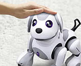 Робот песик на радіокеруванні озвуч. англійською, пісні, історії, географічні факти, рухається, виконує команди, фото 5