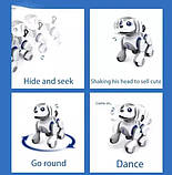 Робот песик на радіокеруванні озвуч. англійською, пісні, історії, географічні факти, рухається, виконує команди, фото 7