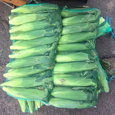 Овочева сітка 20 кг (40*70см) 50шт/уп, зелена