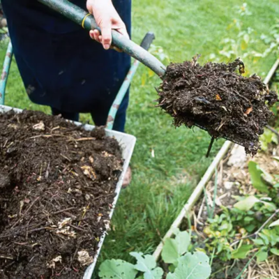Біопрепарати