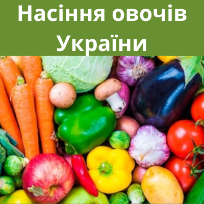 Насіння овочів України