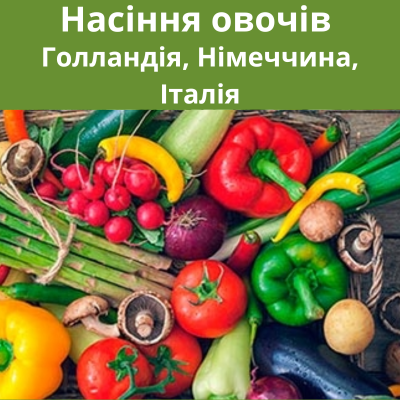 Насіння овочів Голландія, Німеччина, Італія