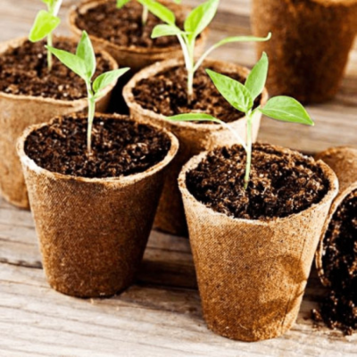 Горщики торфяні та все для розсади