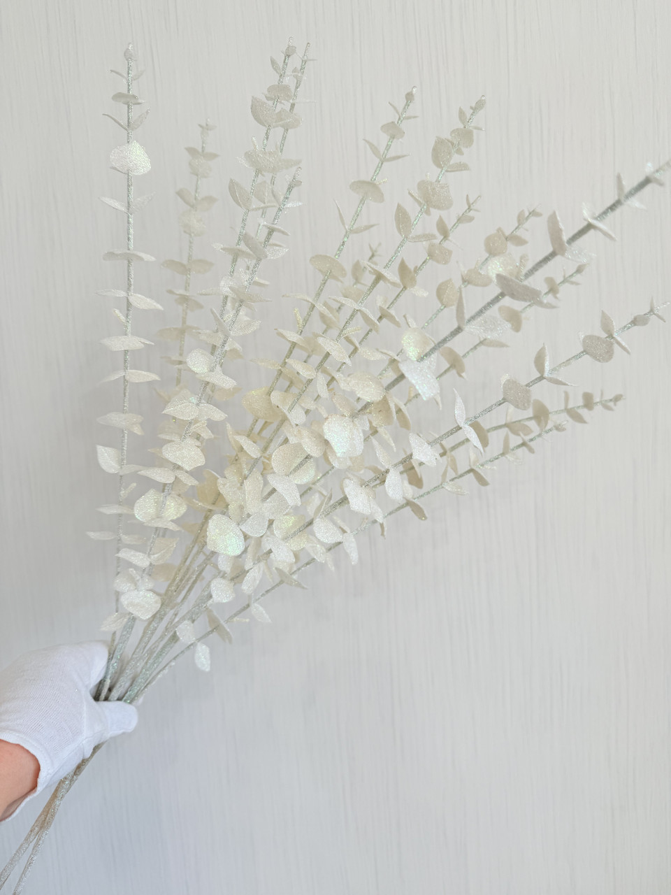 Гілки білого перламутрового евкаліпта. Евкаліпт білий перламутр ( Гілка на п'ять розгалужень 86 см), фото 1
