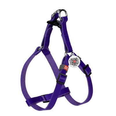 Шлея для котів і дрібних собак шкіряна WAUDOG Classic з QR-паспортом, пластиковий фастекс, XS, Ш 10 мм, В=С, фото 1