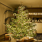 Гірлянда Роса 100м від USB, 1000LED + Подарунок Новорічний ліхтар 1шт, рандом / Новорічна гірлянда на ялинку, фото 8