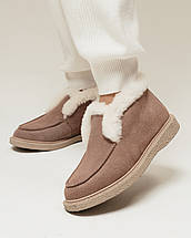 Черевики з хутром Suny Liana 12301 36 капучино замша шерсть, фото 2