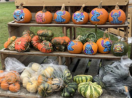 Бабине літо 2024