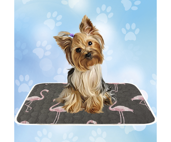 Багаторазова пелюшка для собак у переноску AquaStop арт. 42, розмір 30х50 см, фото 1