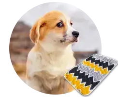 Пелюшки для собак