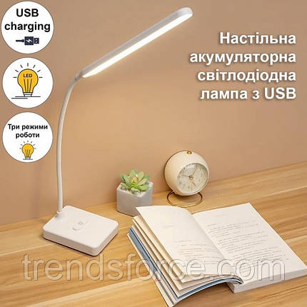 Лампа настільна Led 868 209198, фото 1