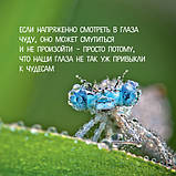 Ментальні карти «Сила життя», фото 6