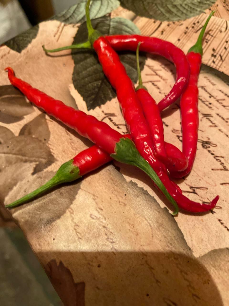 Гострий перець Cayenne Red (Каїнський Червоний) насіння 5 штук