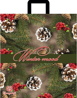 Пакет петля новорічний 40*42 вт Зимовий настрій