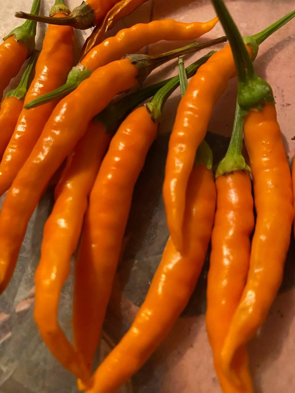 Гострий перець Cayenne Yellow (Каїнський Жовтий) насіння 5 штук
