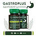 GastroPlus Здоровий шлунок АІМ, фото 2