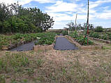 Геотекстиль/агроволокно П-110 (3,2*25м) - чорний від GARDEN FLORA (Польща), фото 7