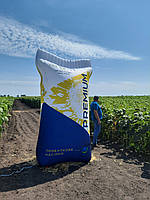 Насіння раннього гібрида ТОР СУМО стійкого до вовчка A-G+, Соняшник СУМО ТОР 7+. Преміум, фото 3