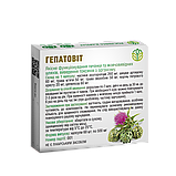 Комплексна програма лікування при фіброміомі Рослина Карпат, фото 7