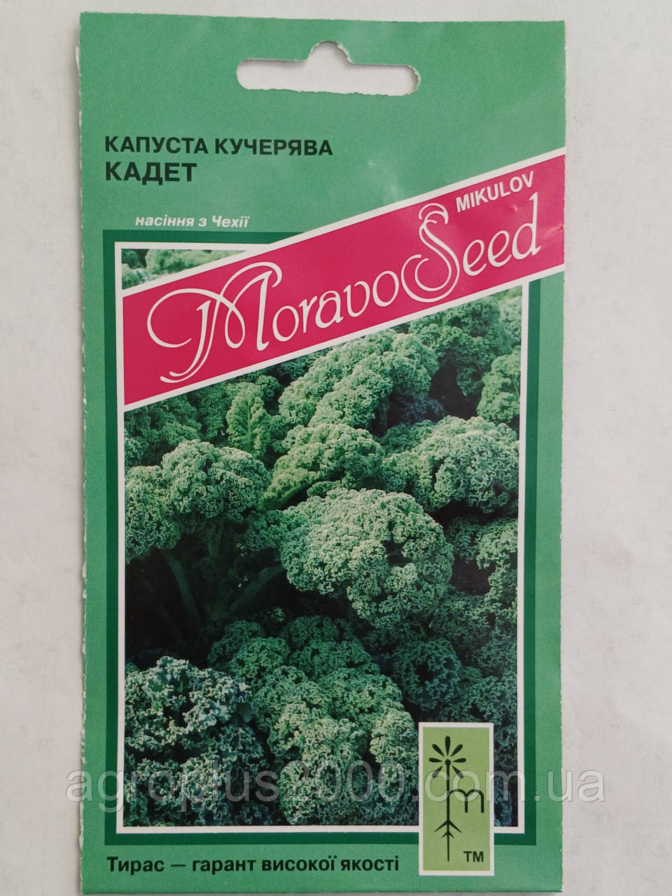 Насіння Капуста Листова Кале Кадет 0,2 грама MoravoSeed