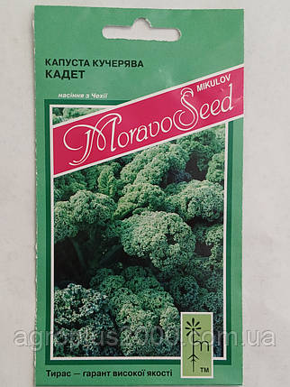 Насіння Капуста Листова Кале Кадет 0,2 грама MoravoSeed, фото 1