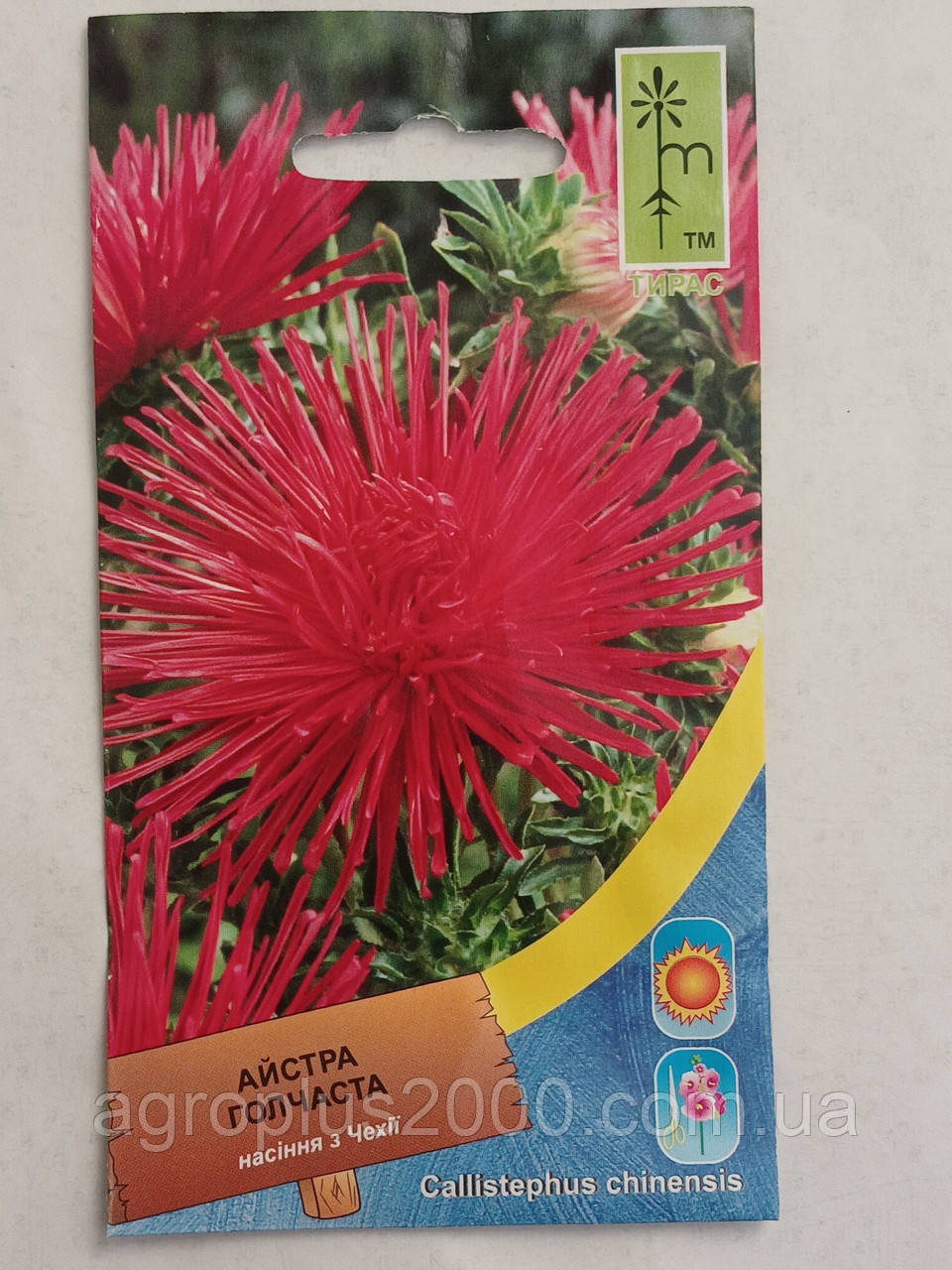 Насіння Астра голчаста Червона 0,5 грама MoravoSeed