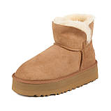 Замшеві жіночі уггі на платформі UGG Australia, фото 3