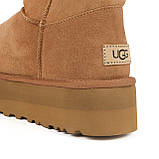 Замшеві жіночі уггі на платформі UGG Australia, фото 5