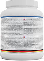 Ізолят сивороткового протеїну MST Clear Iso Whey 500 g холодный чорничний чай, фото 4