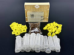 Комплект для виведення маток "Сот Нікот-20" (Безкоштовна доставка)