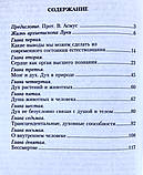 Дух, душа і тіло. Архієпископ Лука (Войно-Ясенецький), фото 4
