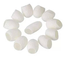 Кокони шовкопряда очищені, 5 шт