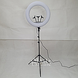 Кільцева LED лампа для селфі 54см на 3 телефони, пультом ДК, штатитвом і сумкою-чохлом Ring Light -RL-21T., фото 2