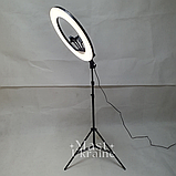 Кільцева LED лампа для селфі 54см на 3 телефони, пультом ДК, штатитвом і сумкою-чохлом Ring Light -RL-21T., фото 4