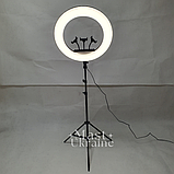 Кільцева LED лампа для селфі 54см на 3 телефони, пультом ДК, штатитвом і сумкою-чохлом Ring Light -RL-21T., фото 3
