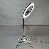 Кільцева LED лампа для селфі 54см на 3 телефони, пультом ДК, штатитвом і сумкою-чохлом Ring Light -RL-21T., фото 5