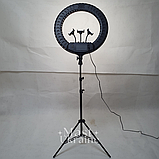 Кільцева LED лампа для селфі 54см на 3 телефони, пультом ДК, штатитвом і сумкою-чохлом Ring Light -RL-21T., фото 6