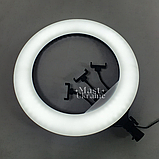 Кільцева LED лампа для селфі 54см на 3 телефони, пультом ДК, штатитвом і сумкою-чохлом Ring Light -RL-21T., фото 7