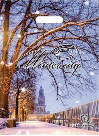 Пакет банан 29*37 Зимове місто