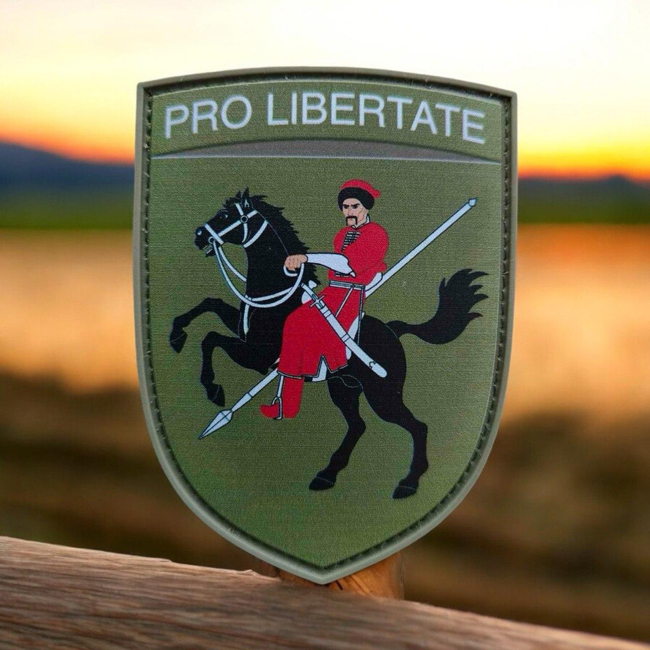 Шеврон 110-я окрема механізована бригада (110 омбр) ПВХ