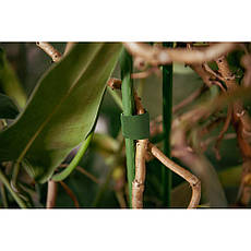 Багатофункціональна стрічка, Т рулон на 
липучці, 25 мм х 5 м, зелений, TYHLT25005/GR, фото 3