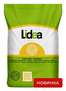 Насіння соняшнику 5053Л СУ Lidea