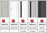 Міжкімнатні двері TRENTO 03BG Бетон Світлий з чорним ABS торцем від ТМ DOORS, фото 2