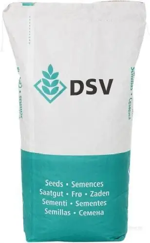 Озимий ріпак Фінікс DSV — 1 п.е., фото 1