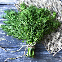 Кріп Форест 1 г.